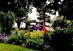 Bauerngarten