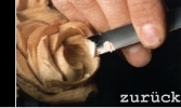 Hier geht es zur�ck zur STARTSEITE